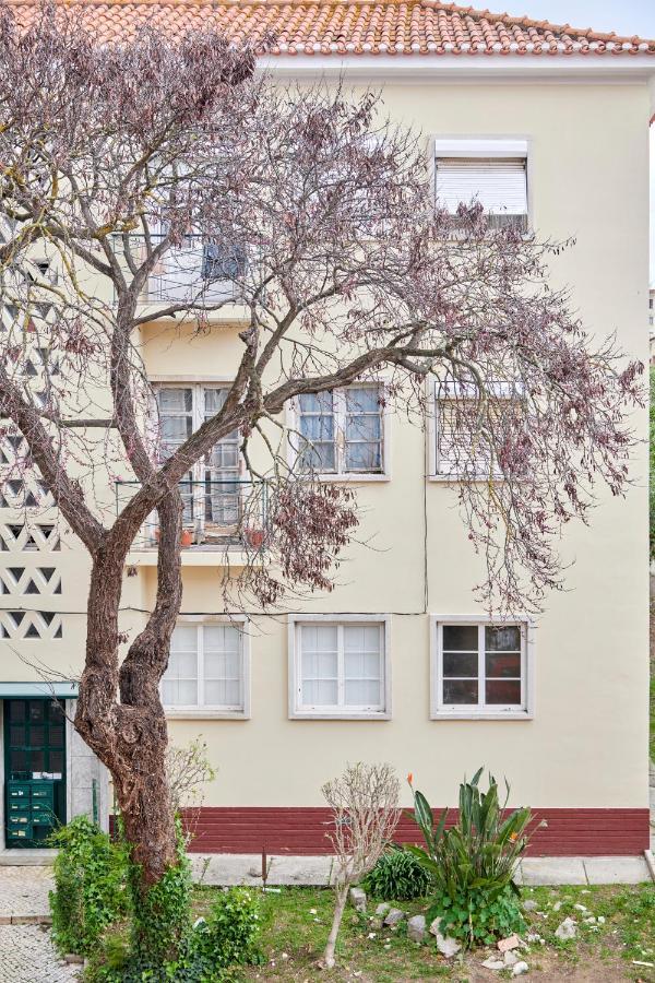 Sunny Renovated Apt With Ac, By Timecooler Lisboa Exteriör bild